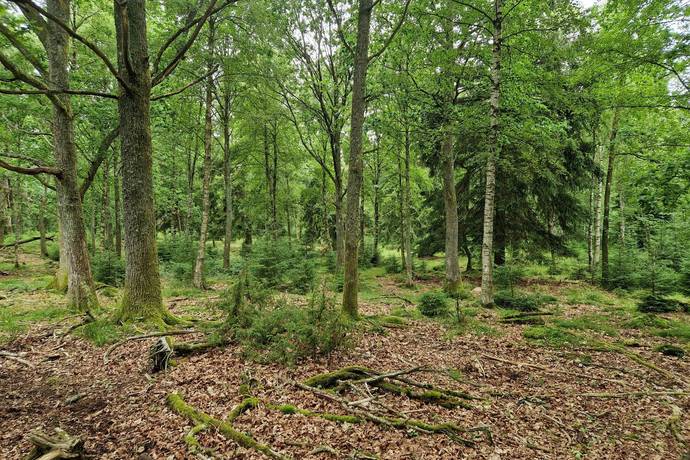 Gård med jordbruk på Trulshärad 8151 Önneköp Hörby kommun - bild 20
