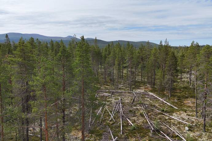 tomt på Västvallen 131 Namnlös, Härjedalens kommun - bild 2