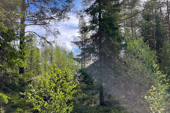 Tomt på Heavägen tomt 5:7 Särnaheden Älvdalens kommun - bild 15