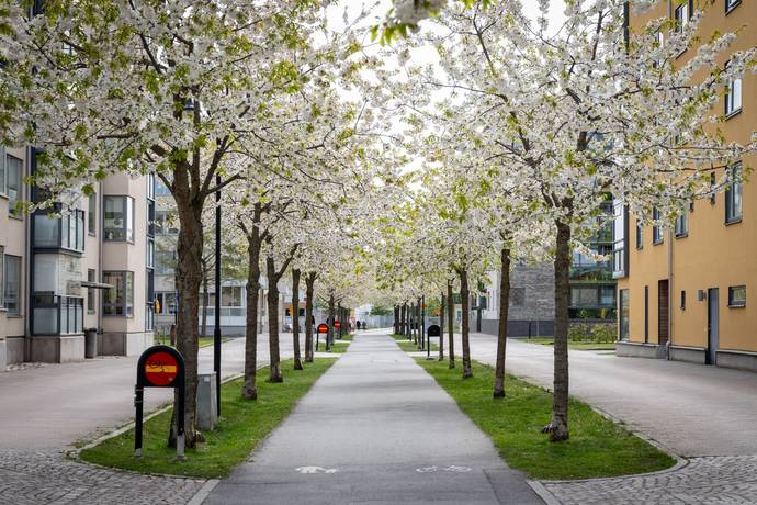 3 rum Lägenhet på Kålgårdsgatan 4B Kålgården Jönköpings kommun - bild 22