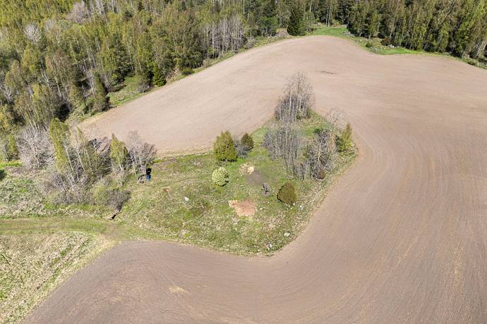 Gård/skog på Norrlövsta Östhammars kommun - bild 5