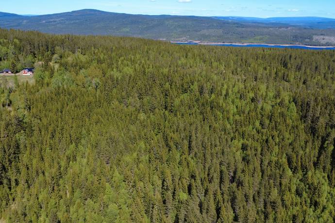 Gård med skogsbruk på Aspberget  Torsby kommun - bild 10