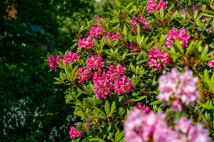 5 rum Villa på Fruängsvägen 16 Odenslunda Upplands Väsby kommun - bild 27