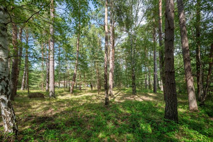 Tomt på Berghs väg 37 Ljungskogen Vellinge kommun - bild 4
