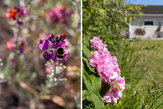6 rum Villa på Tornursgatan 9 Tygelsjö Malmö kommun - bild 53