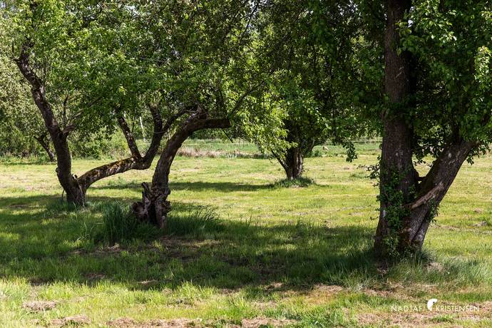 7 rum Gård/skog på Sandby 1651 Sandby Mosse Lunds kommun - bild 30