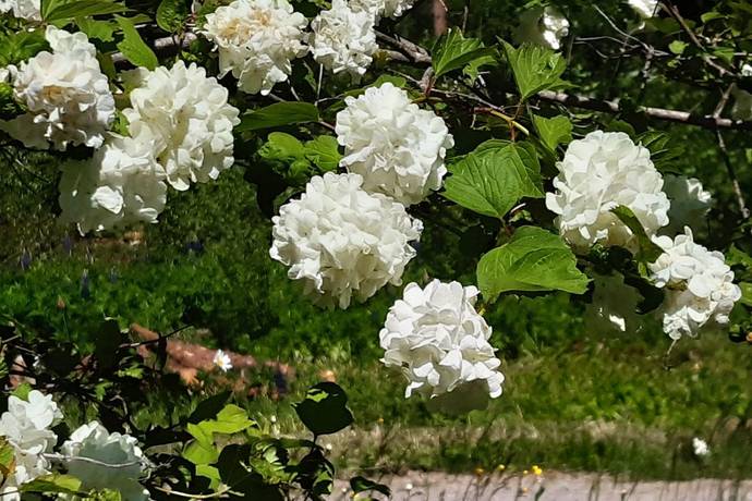 4 rum Vinterbonat fritidshus på Brygghusvägen 1 Noraån Borlänge kommun - bild 31