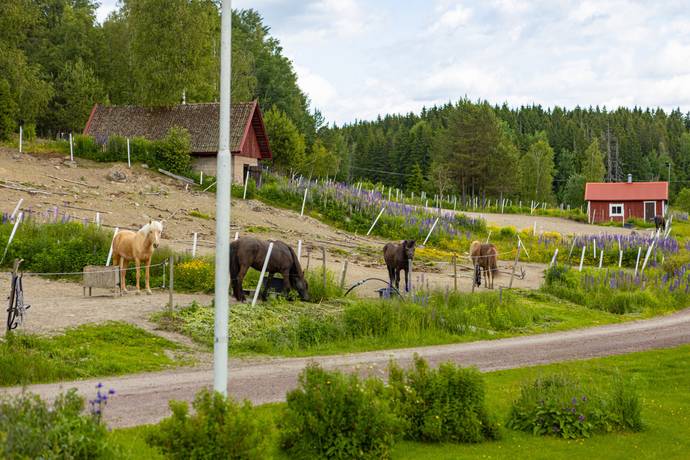 4 rum Gård/skog på Norra Järpetan 432 Norra Järpetan Karlstads kommun - bild 29