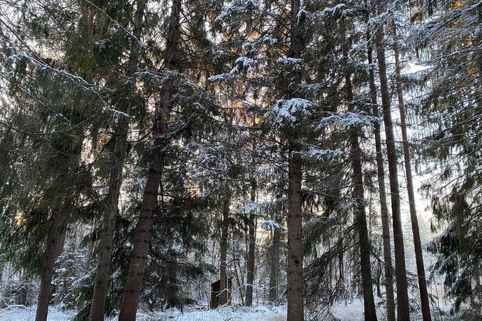 3 rum Villa på Håvens byväg 48 Rättviks kommun - bild 19