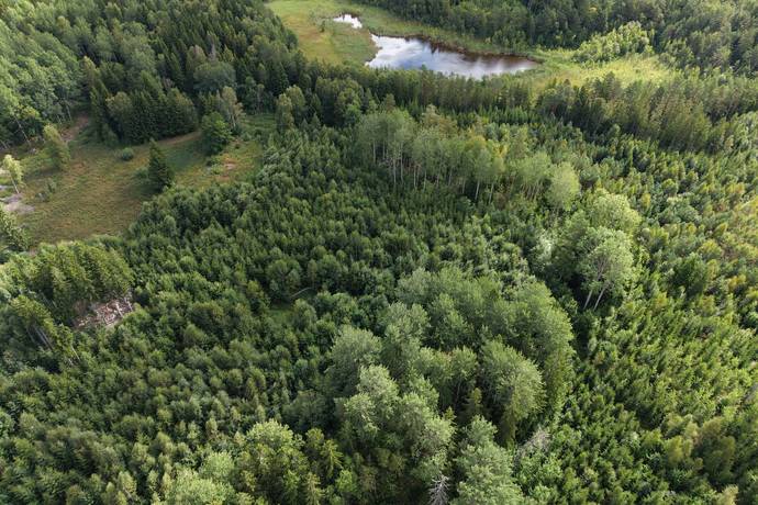 Edsbro Skeningevägen, Edsbro, Norrtälje kommun