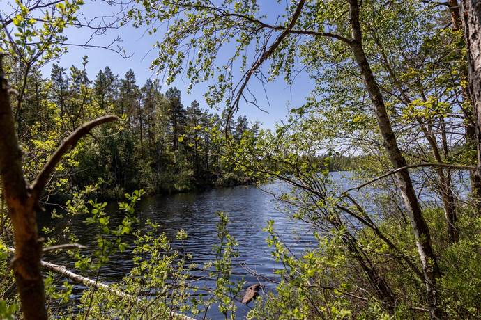 8 rum Gård med skogsbruk på Baggetorpskvarn Äspemåla 1 Äspemåla Oskarshamns kommun - bild 4
