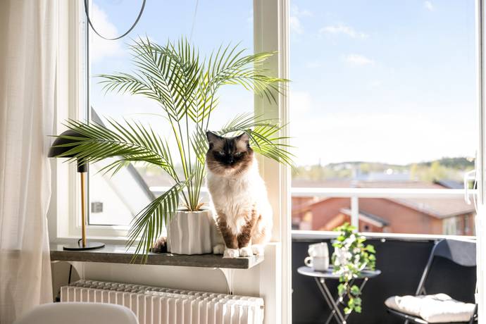 2 rum Lägenhet på Centrumvägen 10 Tenhult Jönköpings kommun - bild 10