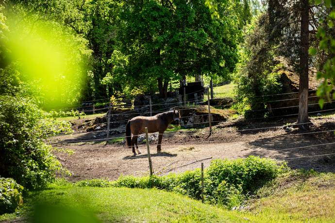12 rum Gård utan jordbruk på Ina 231 SÖDERALA Söderhamns kommun - bild 49