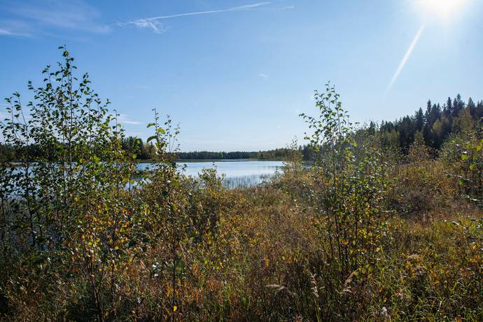 5 rum Gård utan jordbruk på Fromheden 31 Fromheden Norsjö kommun - bild 40