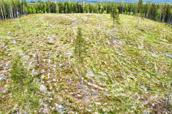 gård/skog på Holmen 2 Glommersträsk, Arvidsjaurs kommun - bild 4