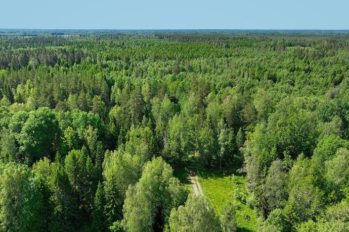 10 rum Gård/skog på Harbonäs säteri Heby- Uppland Heby kommun - bild 27