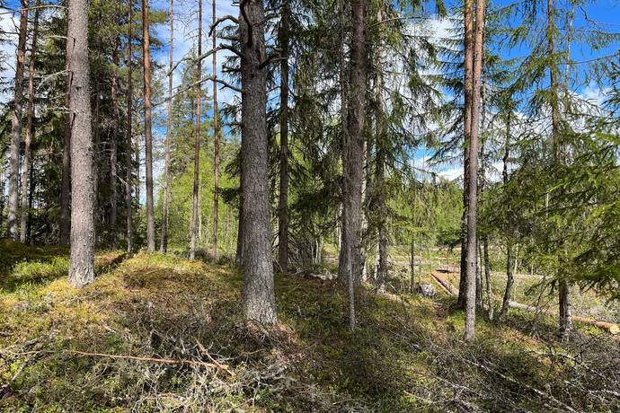 Tomt på Heavägen tomt 5:7 Särnaheden Älvdalens kommun - bild 14