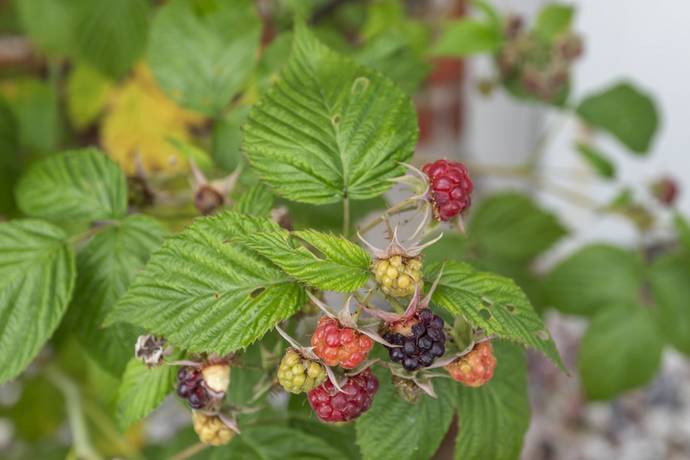 4 rum Radhus på Uranusvägen 35 Skälby Järfälla kommun - bild 38