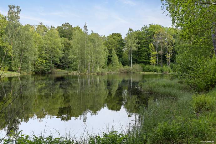 gård/skog på Unik skogsfastighet med vidsträckt utsikt över Hjälmsjön – en plats för drömmar och möjligheter! Örkelljunga, Örkelljunga kommun - bild 3