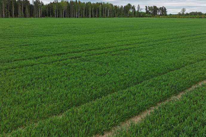 Gård med jordbruk på Govlösa Mjölby kommun - bild 15