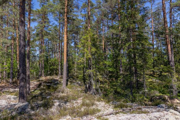 8 rum Gård med skogsbruk på Baggetorpskvarn Äspemåla 1 Äspemåla Oskarshamns kommun - bild 8