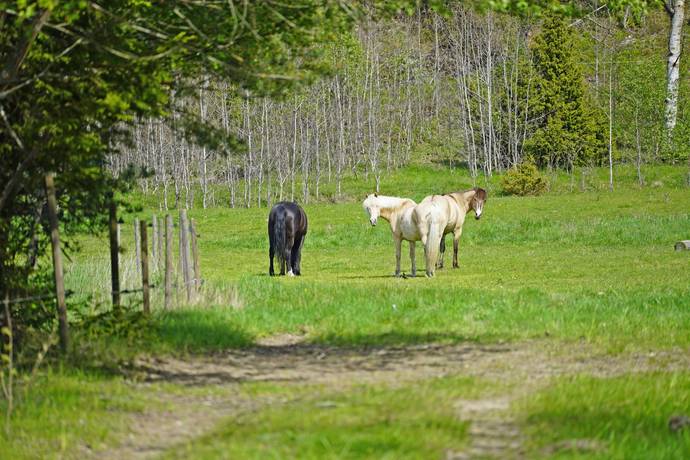 Gård/skog på Övre Hammarby Haninge kommun - bild 3