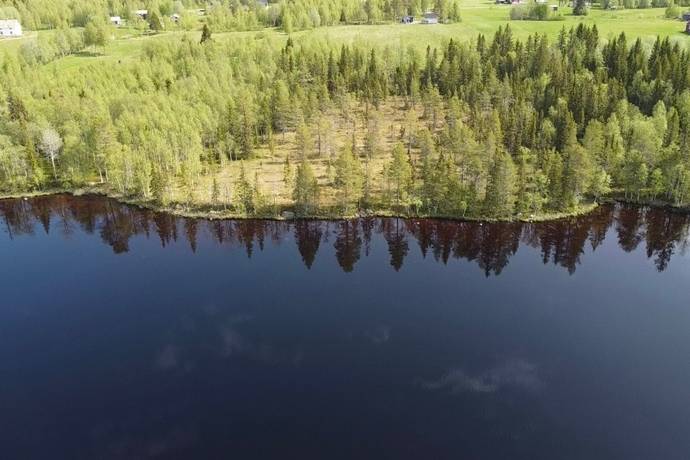 gård med skogsbruk på Åttonträsk Åttonträsk, Lycksele kommun - bild 5