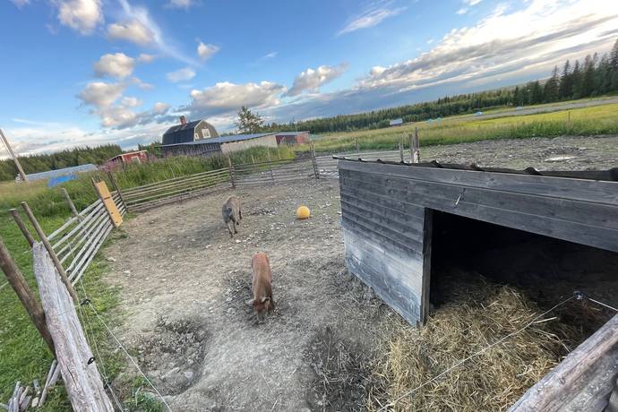 3 rum Gård/skog på Vallen 256 Kaxås Krokoms kommun - bild 39