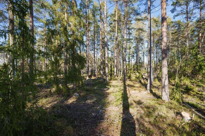 Tomt på Tomt Ugglestigen Älvkarleby Älvkarleby kommun - bild 2