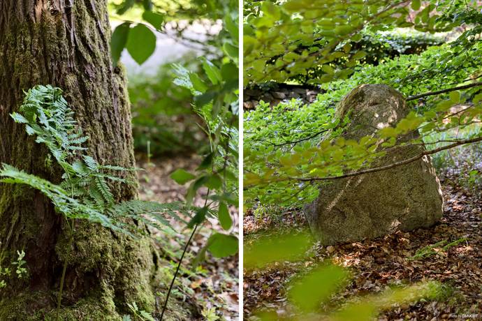 tomt på Lindliden 6 Örkelljunga, Örkelljunga kommun - bild 2