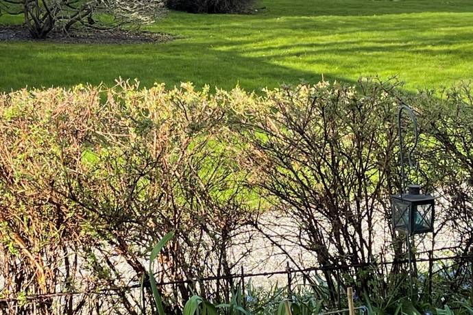 2 rum lägenhet på Ankargatan 19 Öster Mälarstrand, Västerås kommun - bild 3