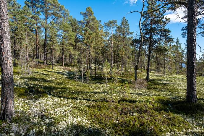 3 rum Fritidshus på Fornstigen 20 Långvind Hudiksvalls kommun - bild 68