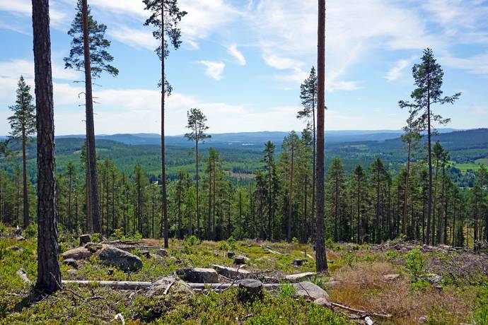 Färila, Ljusdals kommun