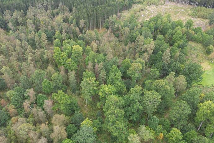 Gård/skog på HYLTE BRÄNNÖ 1:2 Hylte kommun - bild 4