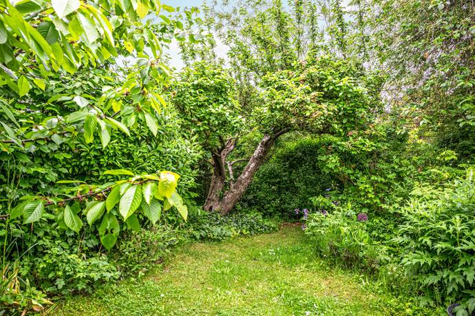 8 m² Fritidshus på Rådmansgatan 15 - kolonistuga nr 35 i koloniområdet S:t Månslyckan Jutahusen Lunds kommun - bild 9