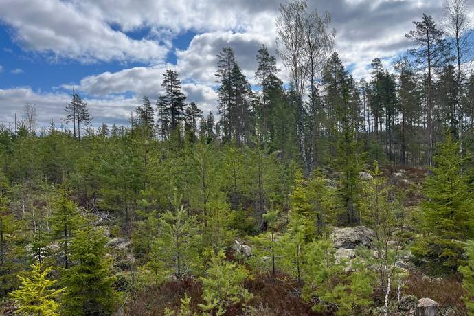 Gård med skogsbruk på Leksand Ytteråkerö 21:21 Björberget Leksands kommun - bild 20