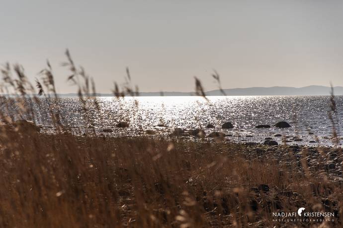 Tomt på Kohagavägen 7 Ranarpsstrand Båstads kommun - bild 14