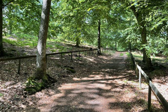 191 m² Gård utan jordbruk på Torarpsvägen 291 Torarp Karlshamns kommun - bild 38