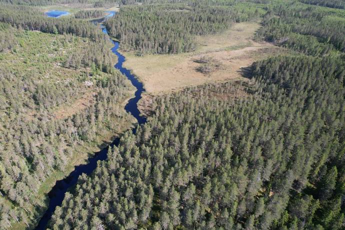 gård med skogsbruk på Backa-Fädbodskog Svärdsjö, Falu kommun - bild 3
