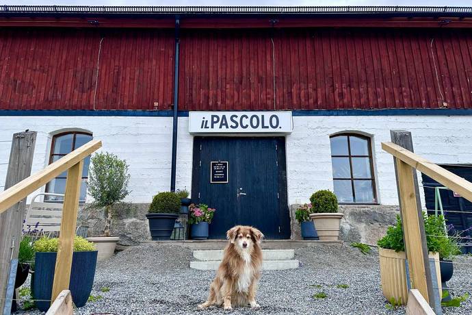 6 rum Villa på Ruddammsvägen 12 Säby Gård Österåkers kommun - bild 70