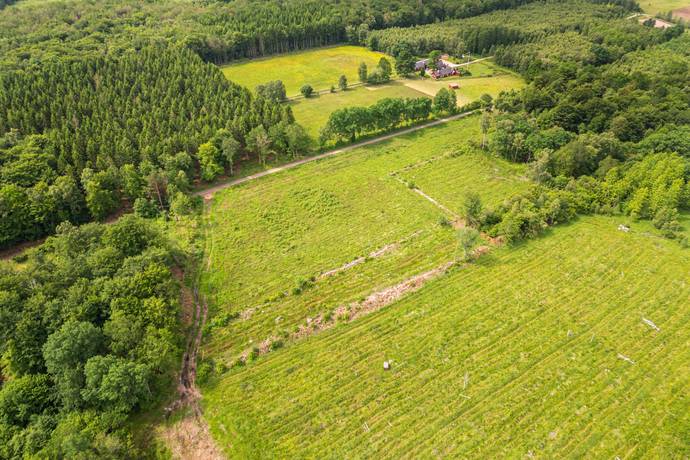 Tomt på Drömtomt med generösa 13 hektar – positivt förhandsbesked, jakträtt och vacker natur nära Billinge! Billinge Eslövs kommun - bild 6