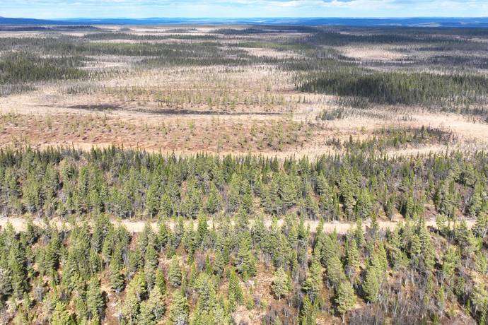 Gård med skogsbruk på HÄRJEDALEN HÅN 9:13, 14:6, 14:7 Vemhån Härjedalens kommun - bild 19