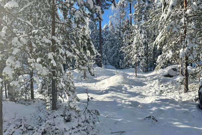 Gård/skog på Sångsjövägen 3 Västansjö Härjedalens kommun - bild 14