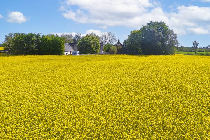 6 rum Villa på Landsvägen 1971 Ugglarp Trelleborgs kommun - bild 66