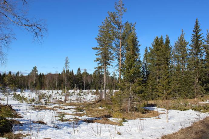 8 rum Gård/skog på Norra Fullsjön 249 Ragunda kommun - bild 51