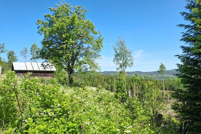 2 rum gård utan jordbruk på Röjdåsen 1 Östmark, Torsby kommun - bild 3