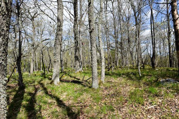235 m² Gård utan jordbruk på Överselö Lindö äng 4 Strängnäs kommun - bild 79