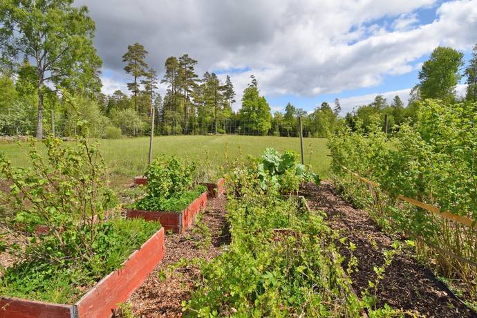 7 rum Gård/skog på Odensjö-Hyltan 1 Småland Ljungby kommun - bild 36