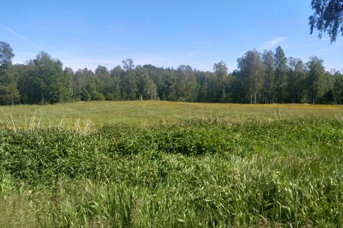 60 m² Gård med jordbruk på Bondbyn Holmen 104 Nora kommun - bild 20