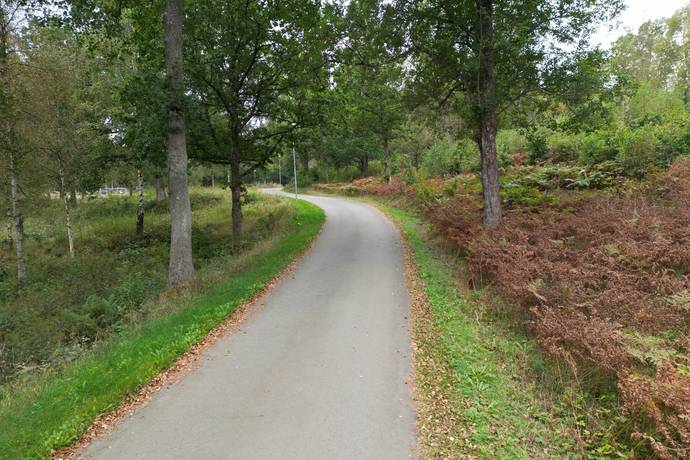Gård/skog på HYLTE BRÄNNÖ 1:2 Hylte kommun - bild 3